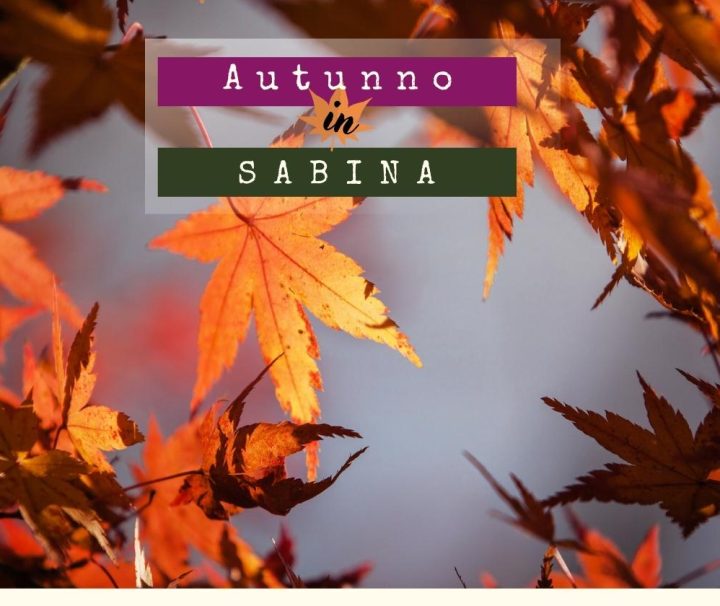 Fall in Sabina