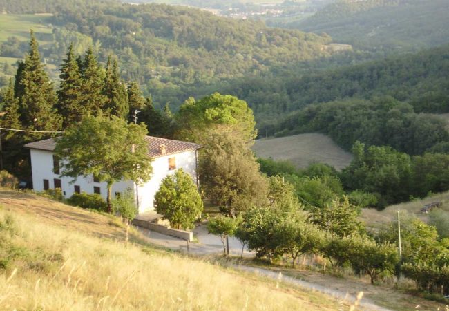 La Castellana vista